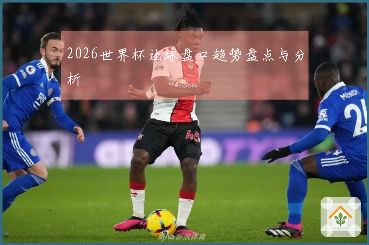 2026世界杯让球盘口趋势盘点与分析
