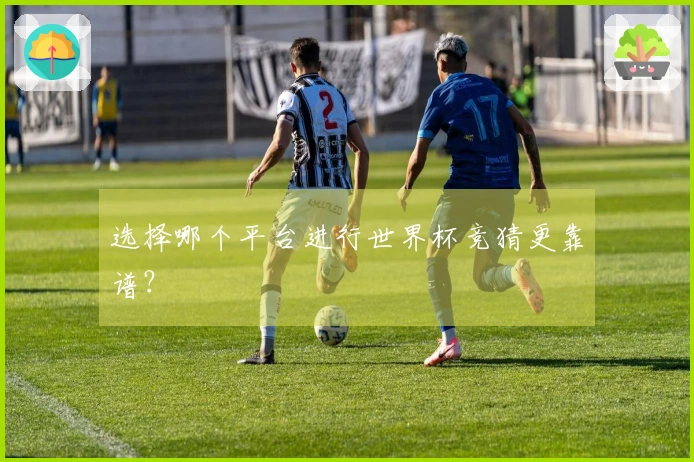 选择哪个平台进行世界杯竞猜更靠谱？