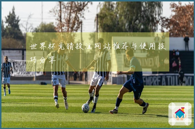 世界杯竞猜投注网站推荐与使用技巧分享
