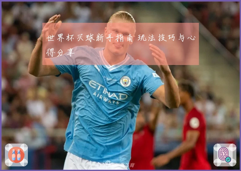 世界杯买球新手指南 玩法技巧与心得分享